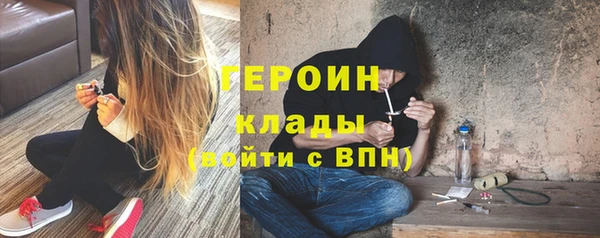 твердый Гусев