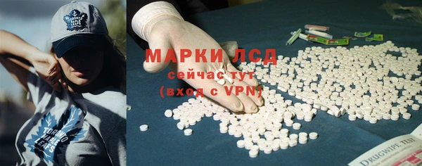 твердый Заводоуковск
