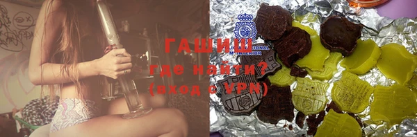 МДПВ Ельня